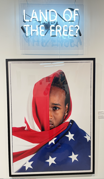 Land of free artwork featuring a black man wrapped in an American flag