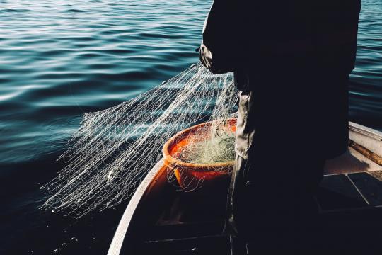Person with fishing net in a boat on the water