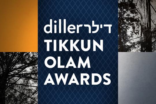 Diller Teen Awards